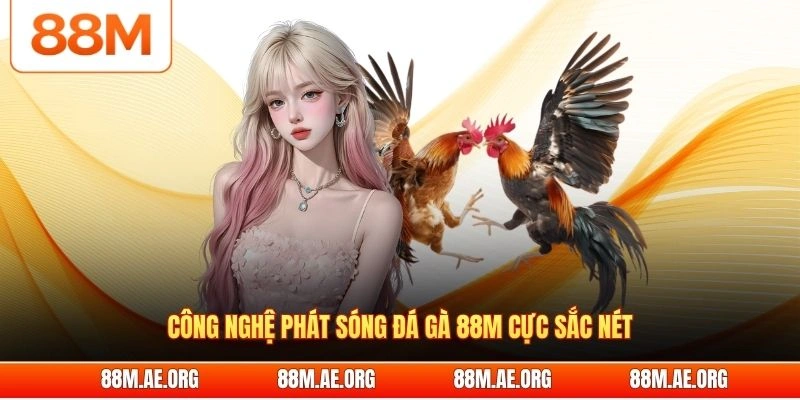 Công nghệ phát sóng đá gà 88M cực sắc nét