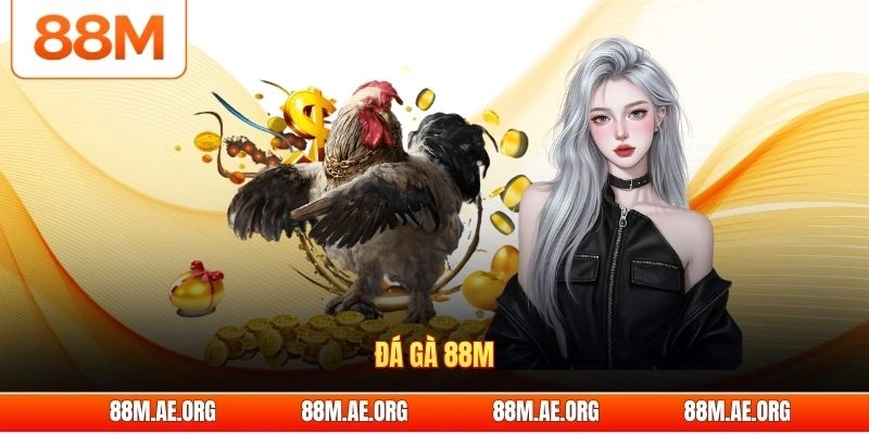 Đá gà 88M